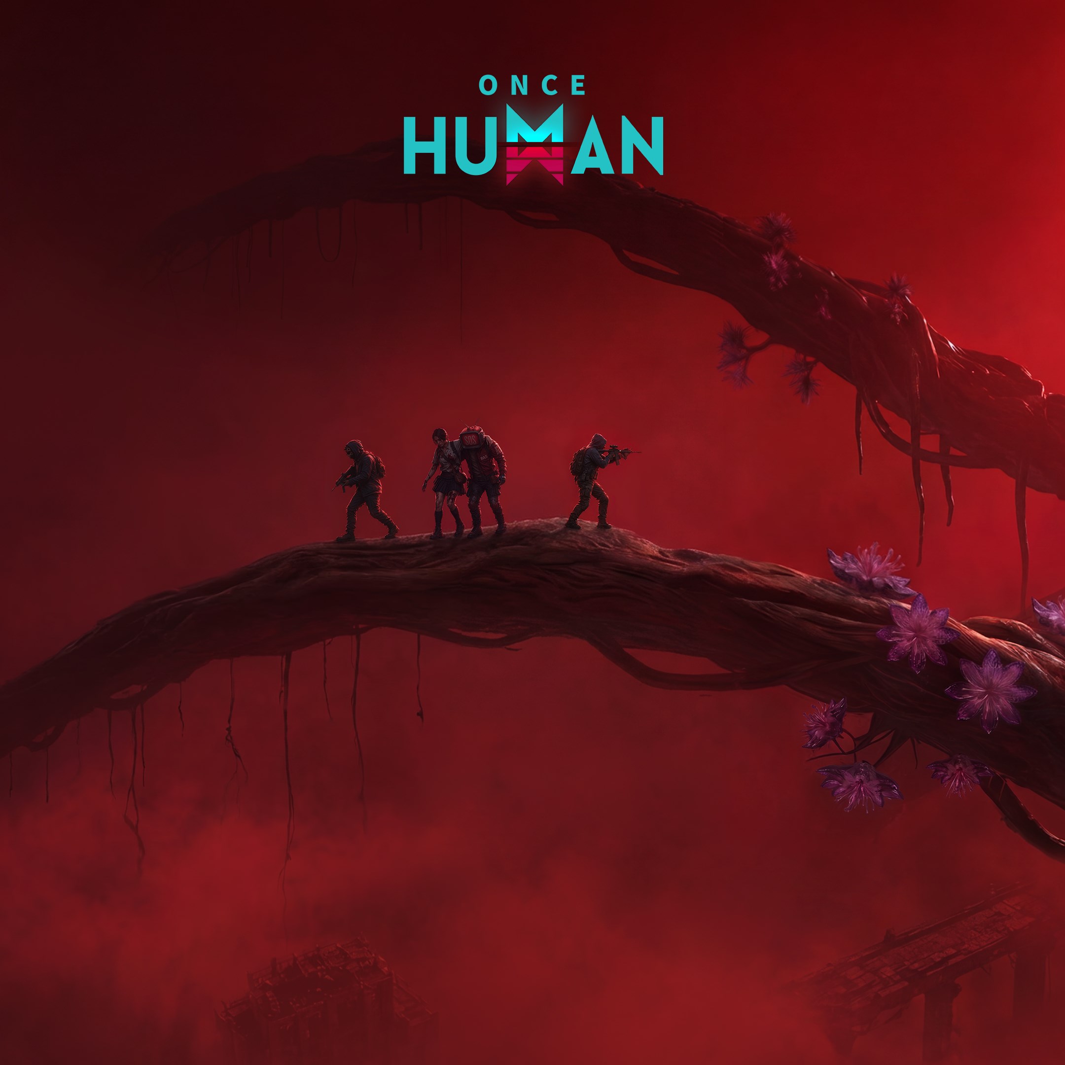 Once Human box art