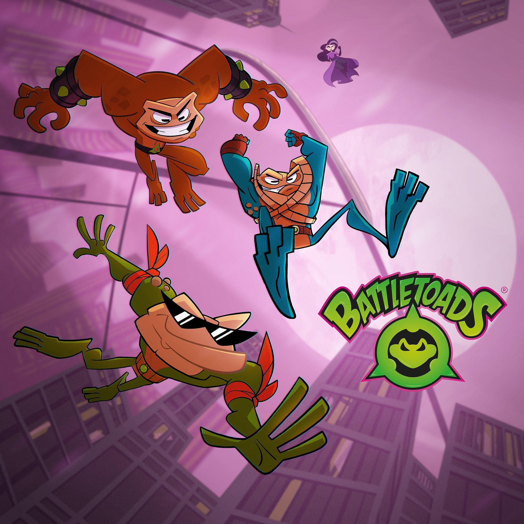 Battletoads box art