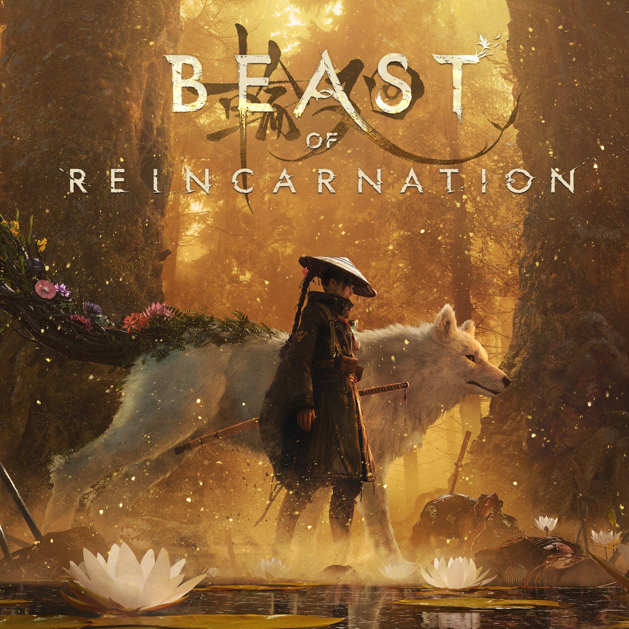 Beast of Reincarnation box art