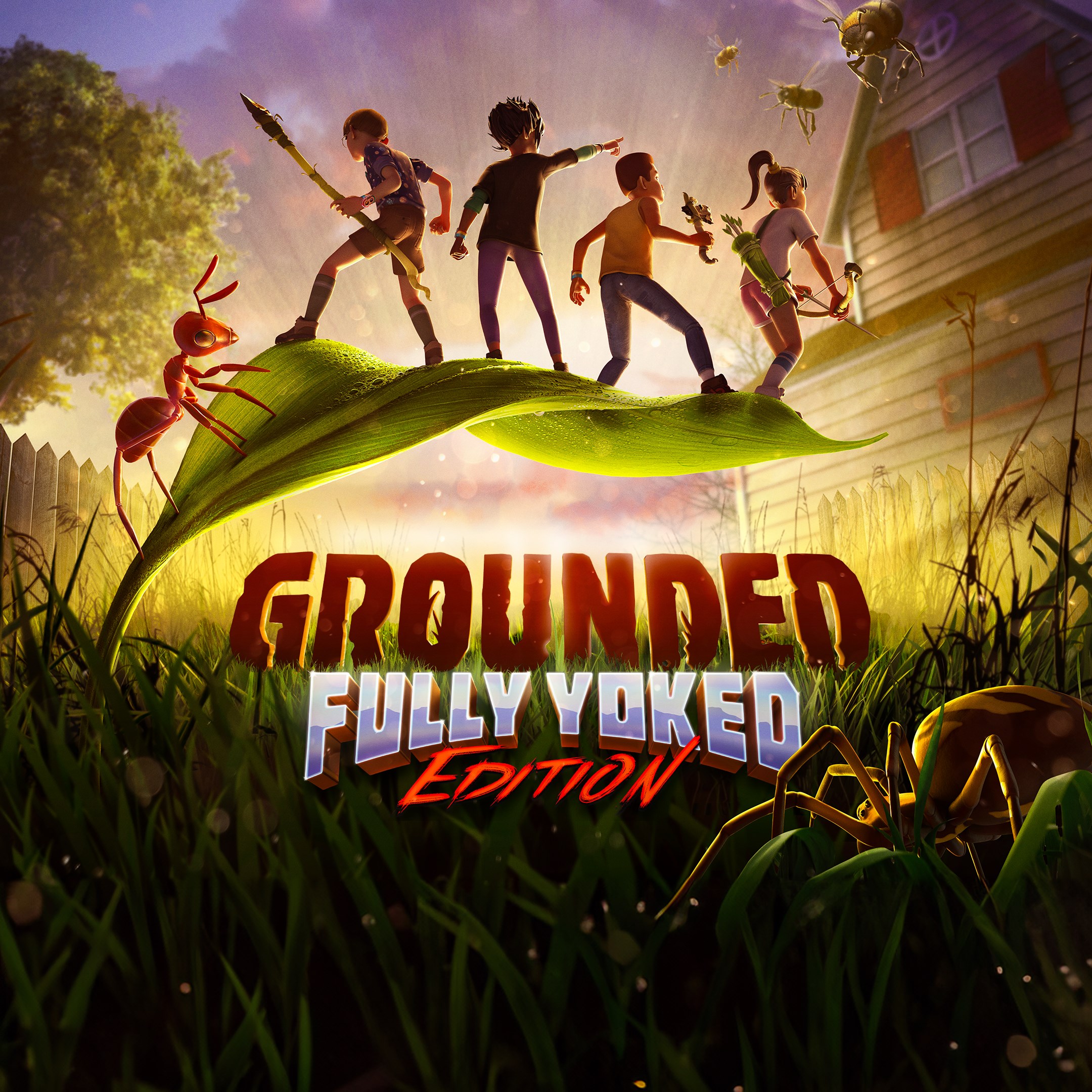 Grounded box art